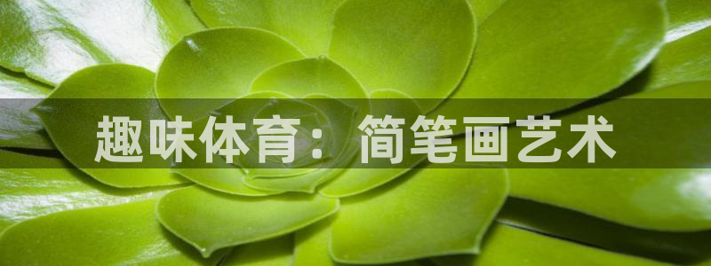 尊龙官网下载平台注册：趣味体育：简笔画艺术