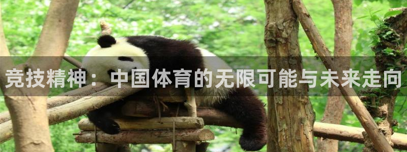 尊龙官方正版app娱乐40996：竞技精神：中国体育