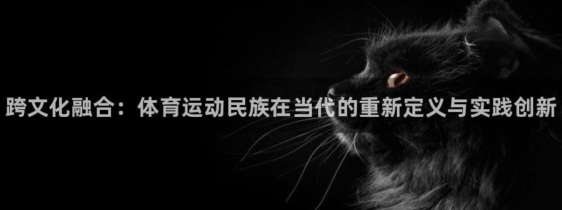 尊龙官网下载平台注册要钱吗是真的吗：跨文化融合：体育