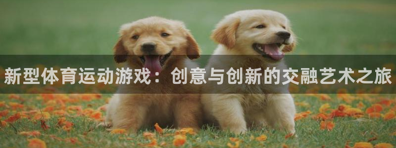 尊龙官方正版app娱乐40996：新型体育运动游戏：