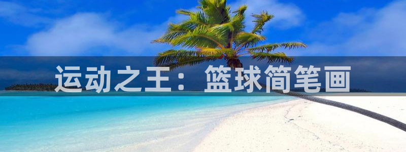 尊龙官网下载平台注册要钱吗是真的吗：运动之王：篮球简