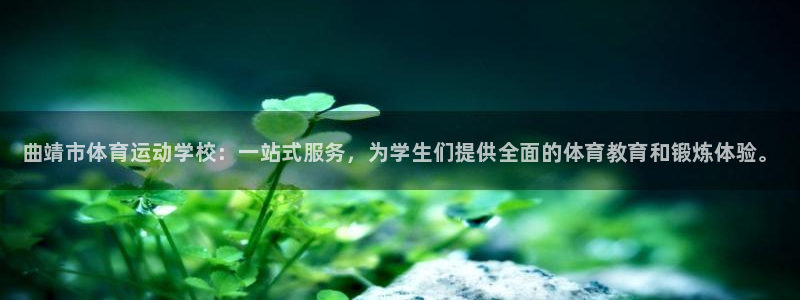尊龙官方平台体育：曲靖市体育运动学校：一站式服务，为学生们提