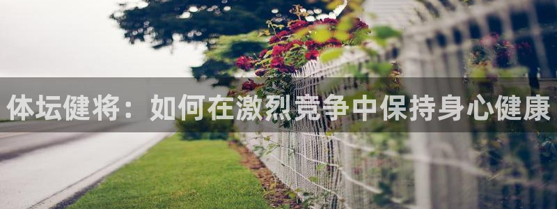 尊龙官网下载平台假的吗是真的吗吗：体坛健将：如何在激