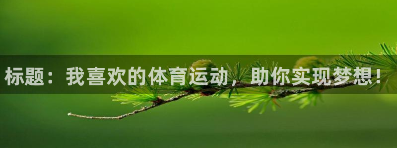 尊龙官方正版app娱乐代理怎么样：标题：我喜欢的体育