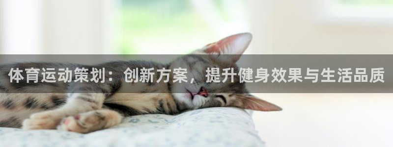 尊龙官方正版app神州：体育运动策划：创新方案，提升