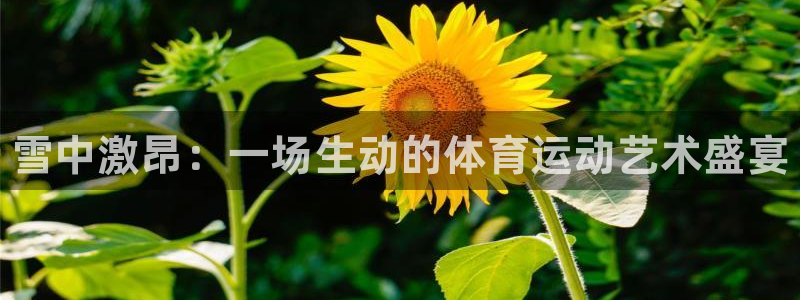 尊龙官网下载招商电话号码是多少号：雪中激昂：一场生动