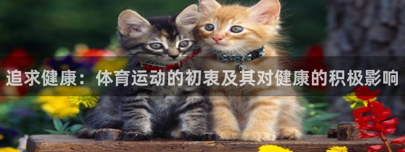 尊龙官网下载招商电话号码查询：追求健康：体育运动的初