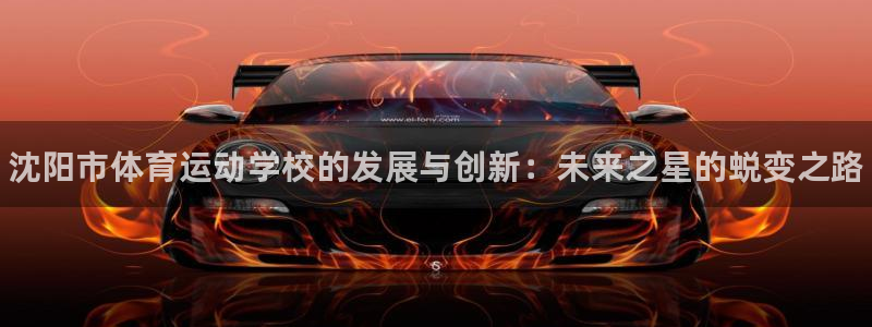 尊龙官网下载开户：沈阳市体育运动学校的发展与创新：未