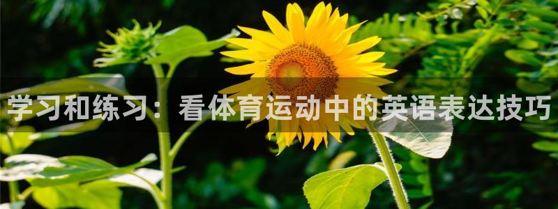 尊龙官方正版app集团E.ON：学习和练习：看体育运