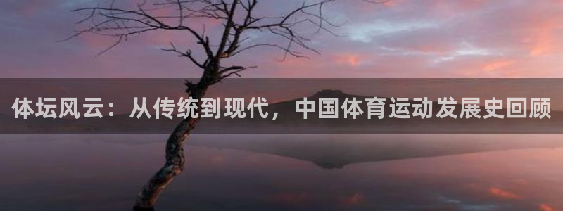 德国尊龙官方正版app集团：体坛风云：从传统到现代，