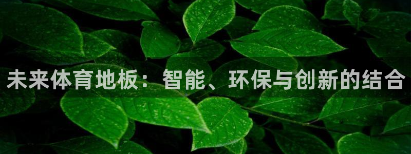 注册尊龙官方正版app：未来体育地板：智能、环保与创新的结合