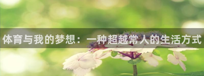 尊龙官方正版app官网：体育与我的梦想：一种超越常人的生活方