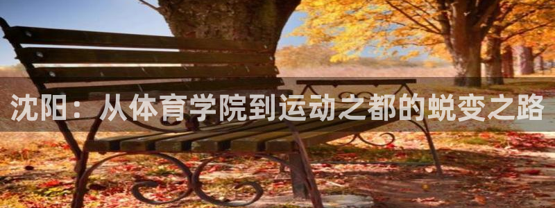 尊龙官方正版app娱乐下载：沈阳：从体育学院到运动之都的蜕变
