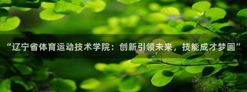 尊龙官网下载开户