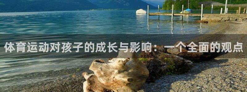 海南尊龙官网下载发展怎么样：体育运动对孩子的成长与影响：一个