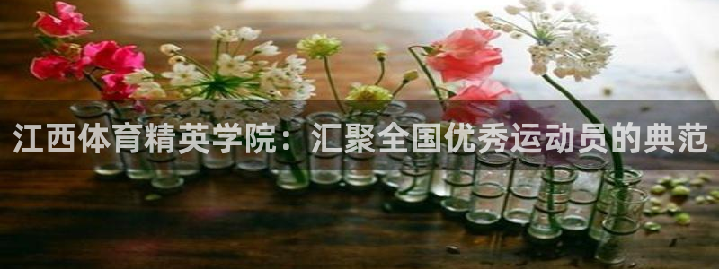 尊龙官方正版app娱乐下载