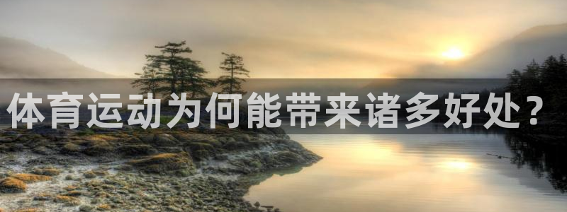 尊龙官方正版app新能源：体育运动为何能带来诸多好处？