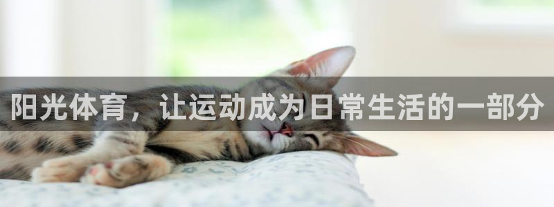 海南尊龙官网下载：阳光体育，让运动成为日常生活的一部