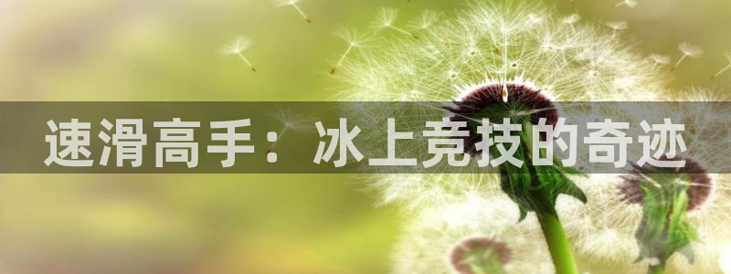 尊龙官方正版app娱乐首页网站大全：速滑高手：冰上竞