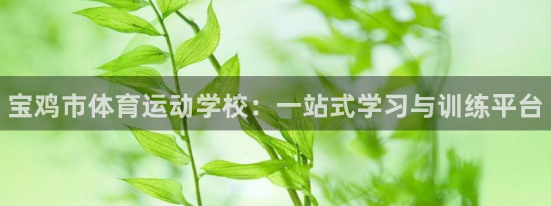 尊龙官方正版app集团官网首页网址：宝鸡市体育运动学校：一站