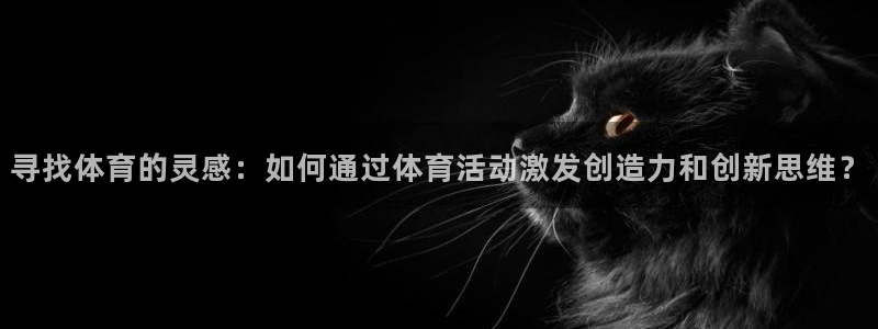 尊龙官方正版app集团logo：寻找体育的灵感：如何通过体育