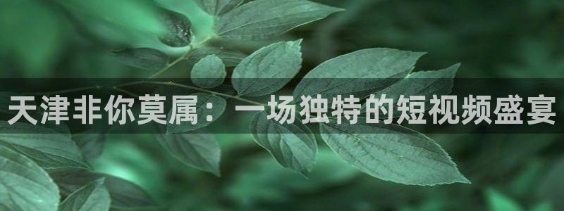 篮球直播说球帝：天津非你莫属：一场独特的短视频盛宴
