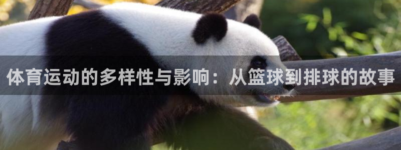 尊龙凯时不会查封吗：体育运动的多样性