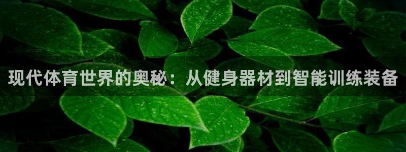 尊龙凯时官网平台：现代体育世界的奥秘