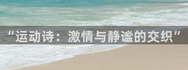 尊龙官方正版app娱乐网站：“运动诗：激情与静谧的交