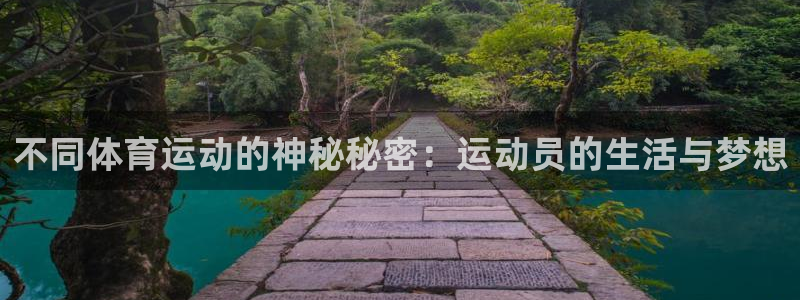 尊龙官网下载平台APP