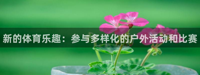 尊龙官网下载是干嘛的公司：新的体育乐趣：参与多样化的户外活动