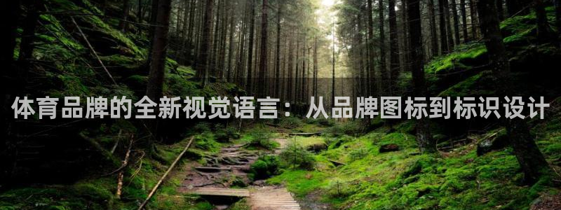 尊龙官方正版app娱乐：体育品牌的全新视觉语言：从品牌图标到