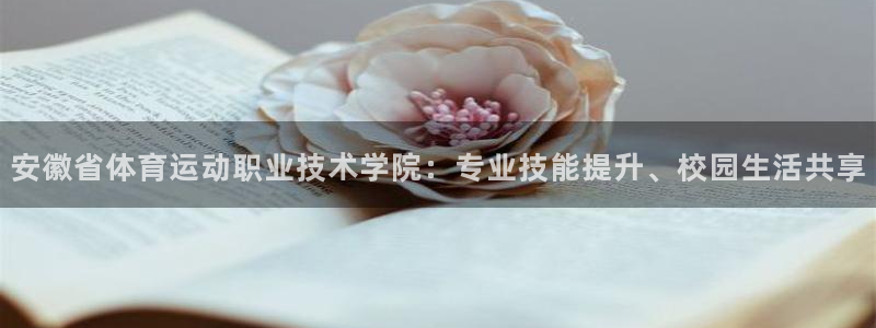 尊龙官方正版app集团官网网址