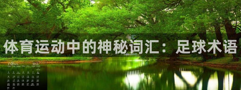 尊龙官方正版app新能源：体育运动中的神秘词汇：足球术语