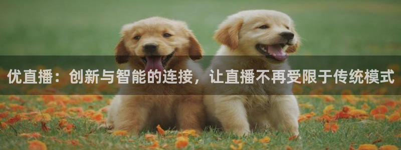 说球帝在线