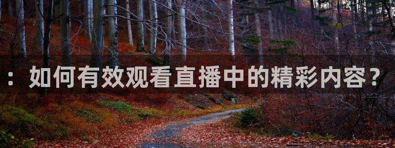 nba直播免费高清无插件直播说球帝