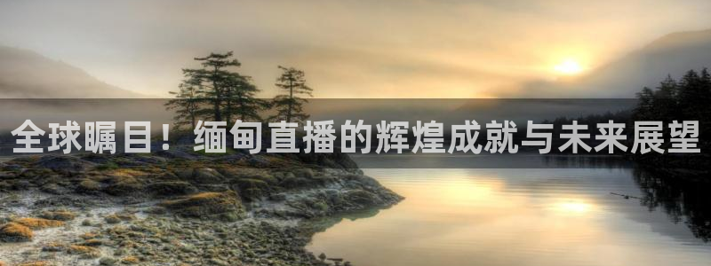 说球帝直播体育：全球瞩目！缅甸直播的辉煌成就与未来展望