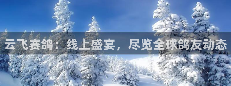 说球帝nba直播在线观看免费回放：云飞赛鸽：线上盛宴，尽览全球鸽友动态